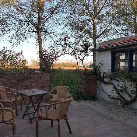 Villa Vogelvrij Vierhuizen Exterior foto
