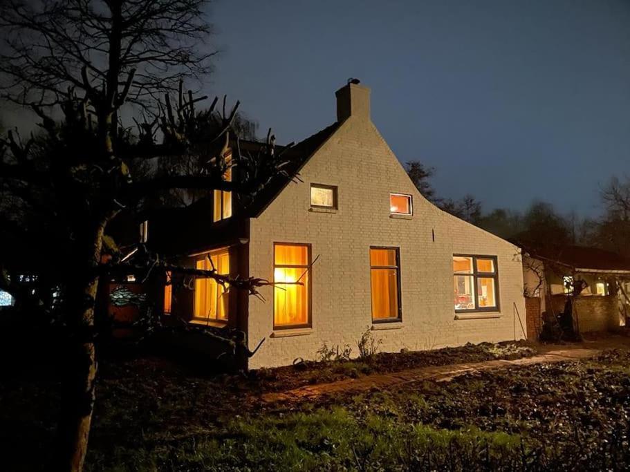 Villa Vogelvrij Vierhuizen Exterior foto